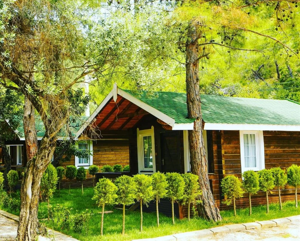 Natural Large Oda iç mekan