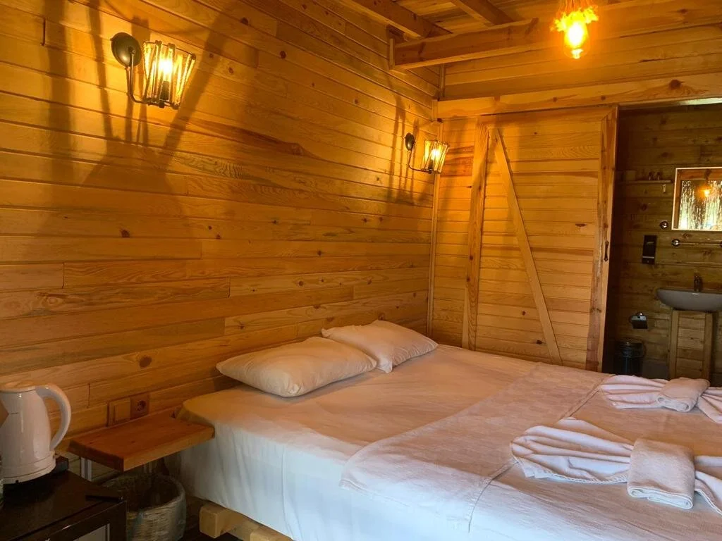 Tree House iç mekan