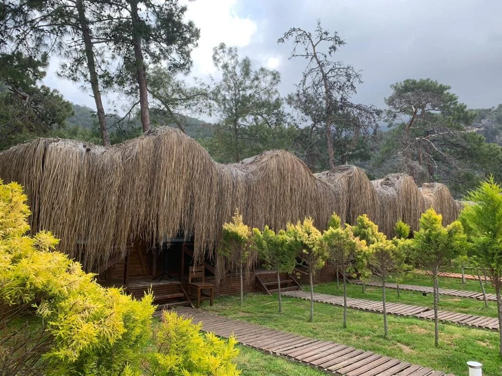 Tree House Oda manzara